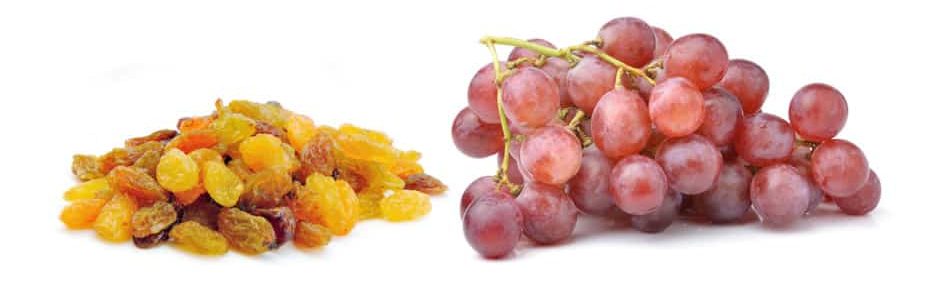 Can German Shepherds Eat Grapes?Grapes and raisins
