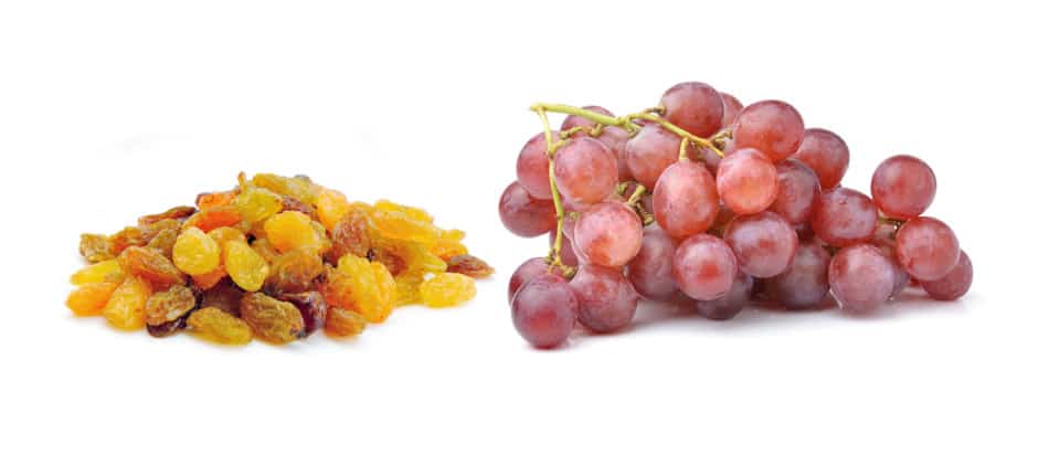What Foods are Poisonous to German Shepherds? Grapes and Raisins