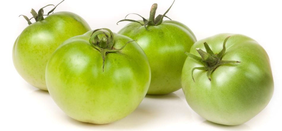 What Foods are Poisonous to German Shepherds? Green Tomatoes