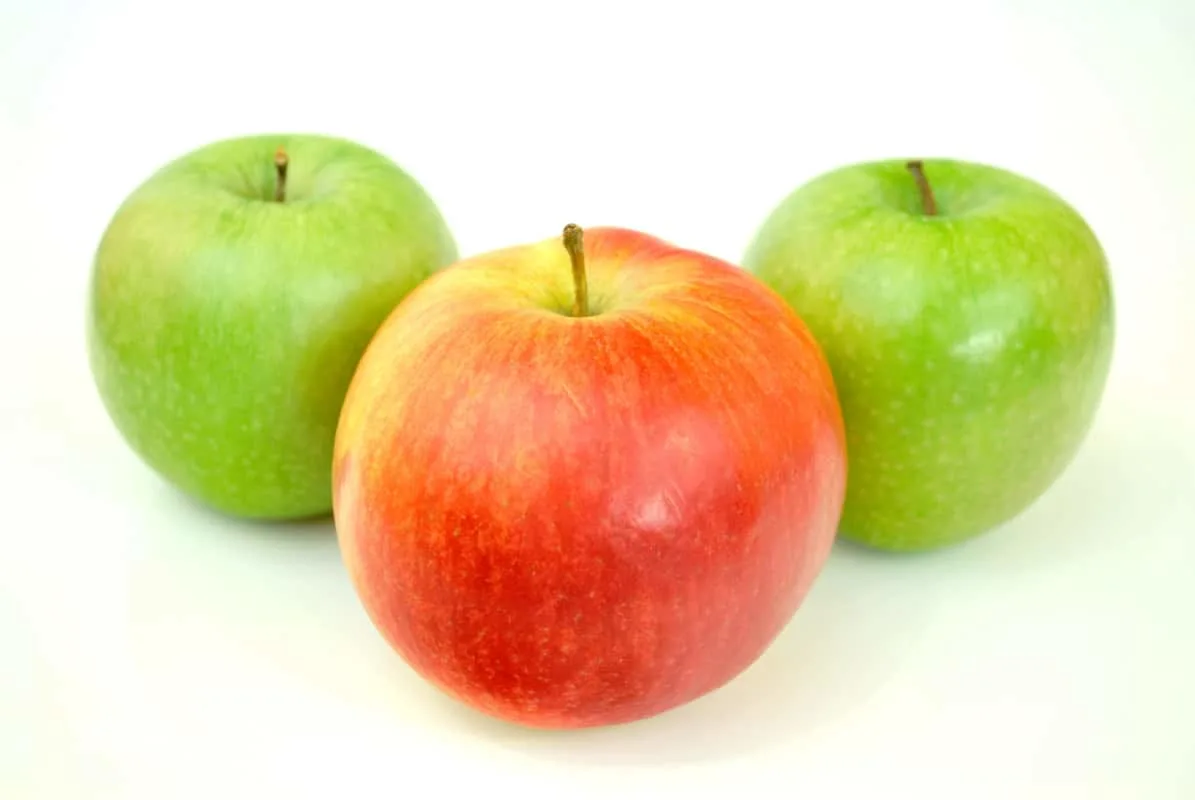 Can German Shepherds Eat Apples? Apples