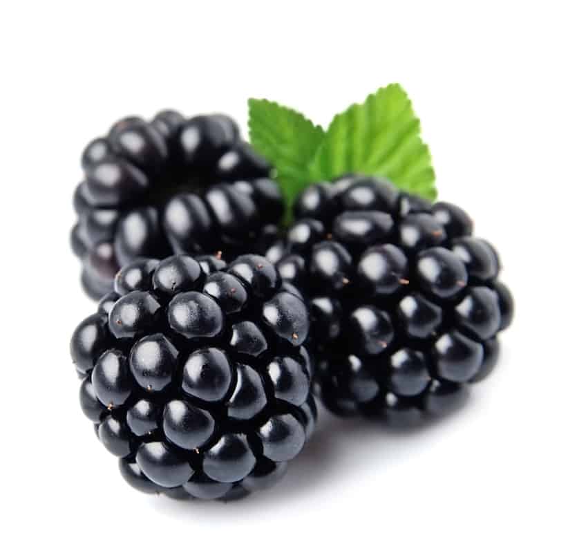 What Fruits Can German Shepherds Eat? Blackberries