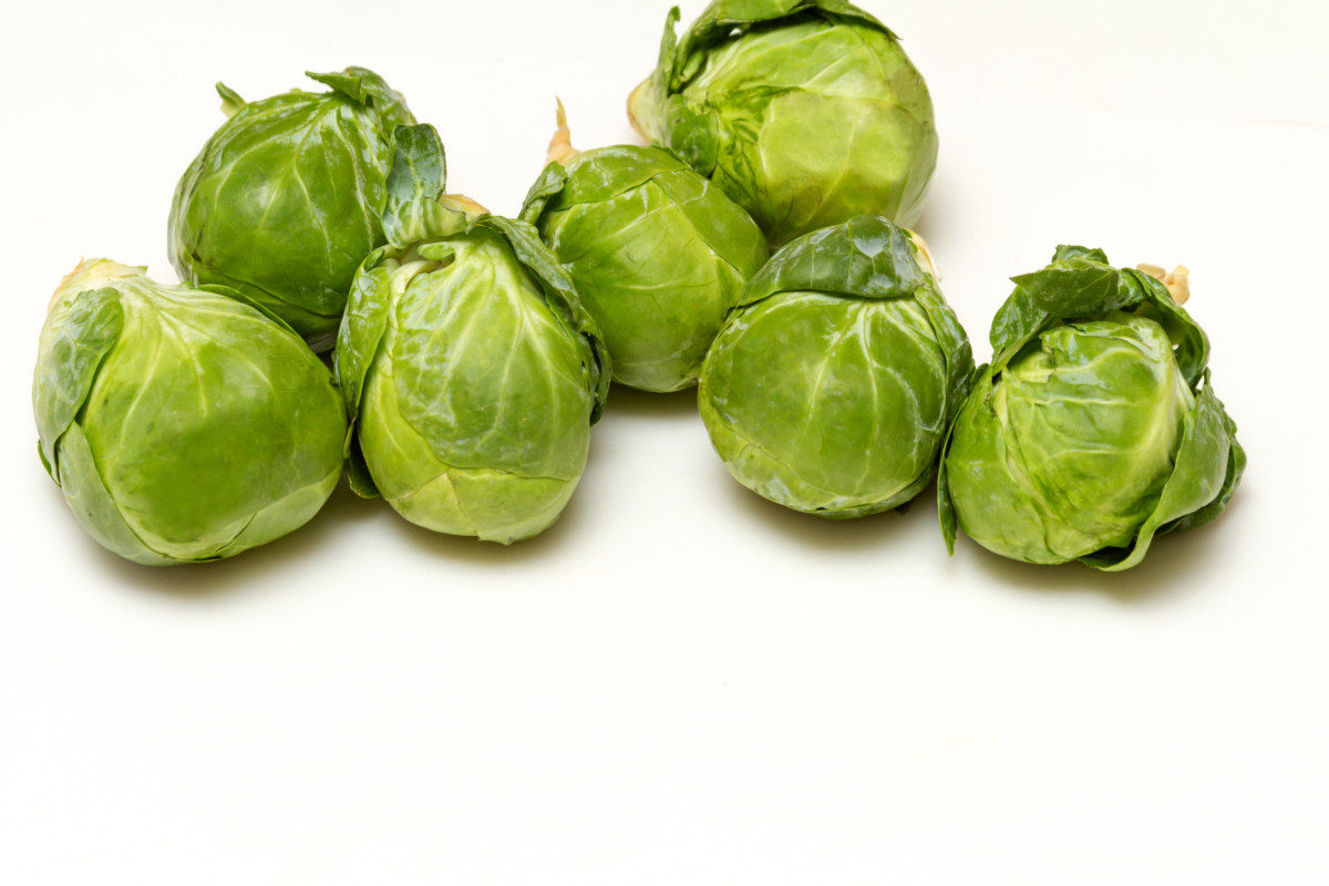 What Vegetables Can Golden Retrievers Eat? Brussels Sprouts
