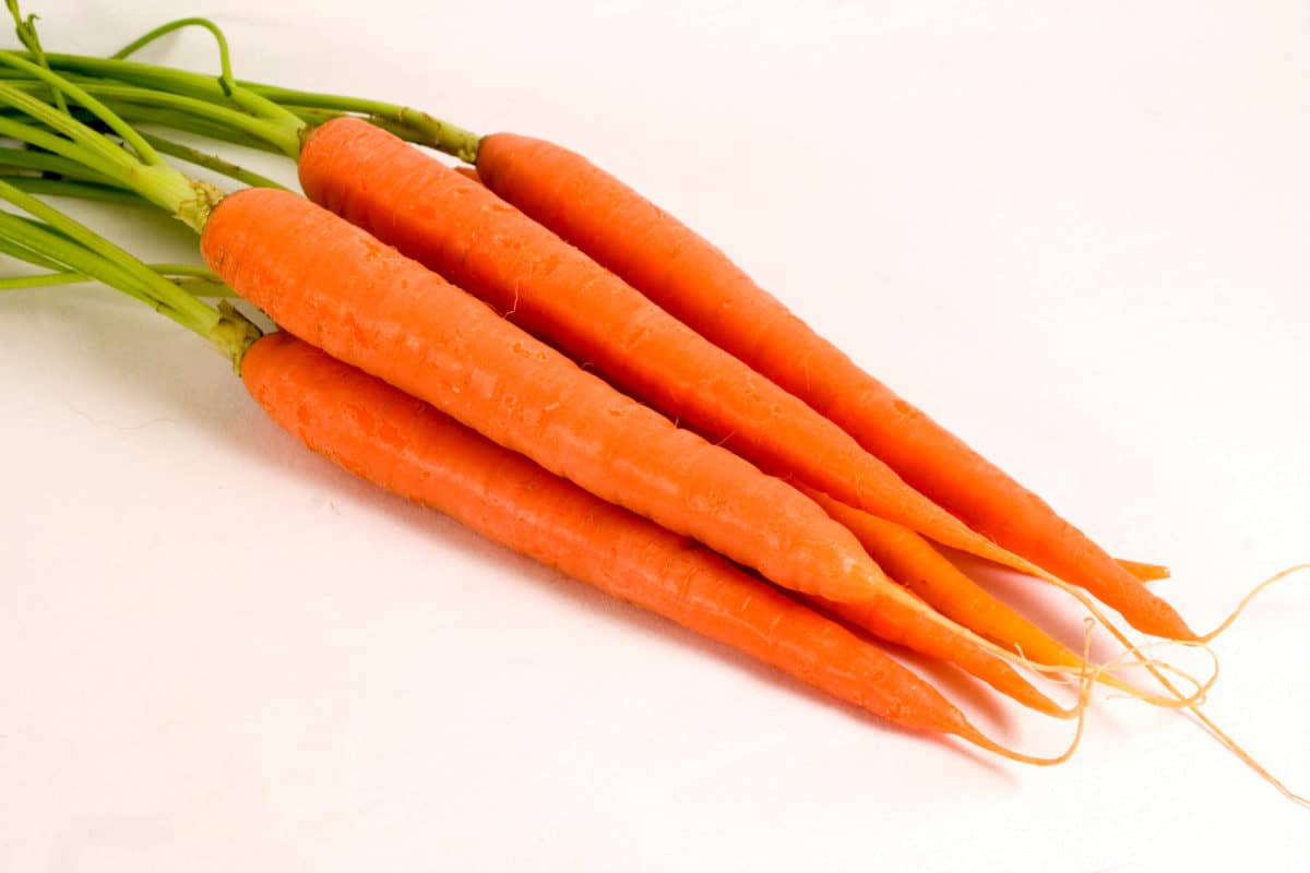 What Vegetables Can German Shepherds Eat? Carrot