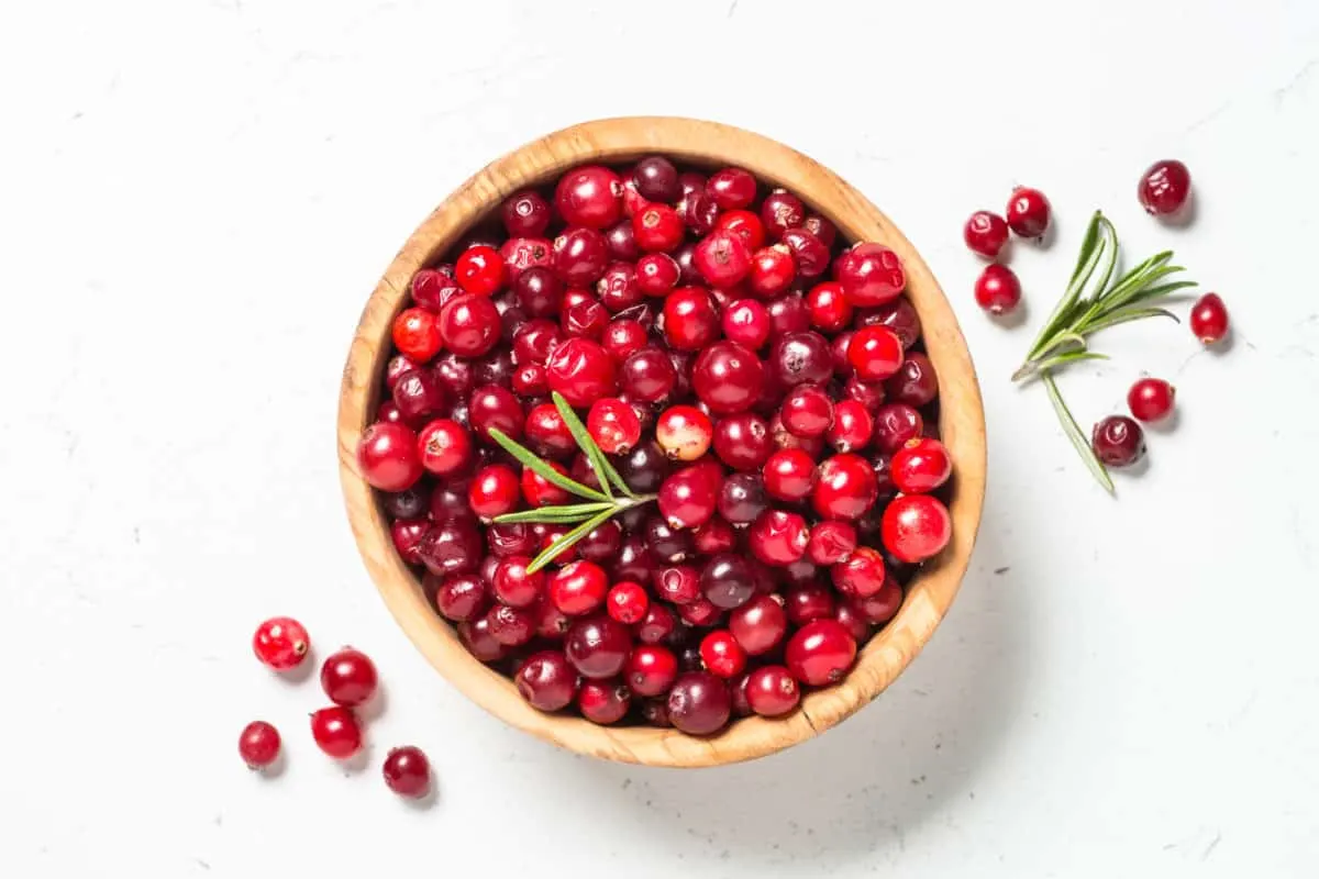 What Fruits Can Golden Retrievers Eat? Cranberries