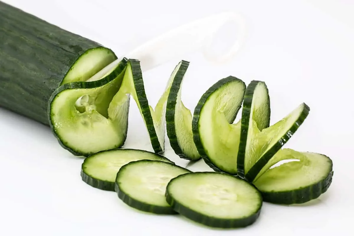 What Fruits Can Golden Retrievers Eat?Cucumber
