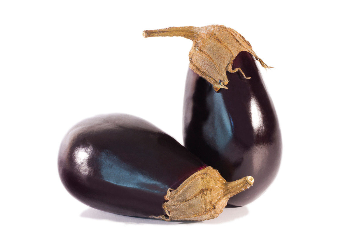 What Vegetables Can German Shepherds Eat? Eggplant