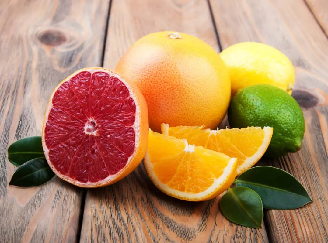 Can German Shepherds Eat Lemon, Lime, and Grapefruit? A range of citrus fruits.