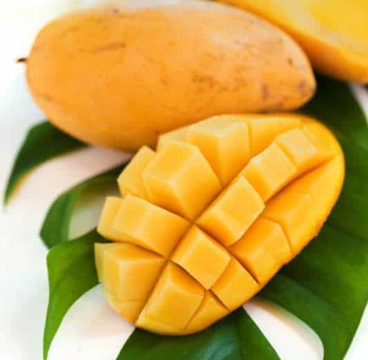 What Fruits Can Golden Retrievers Eat?  Mango