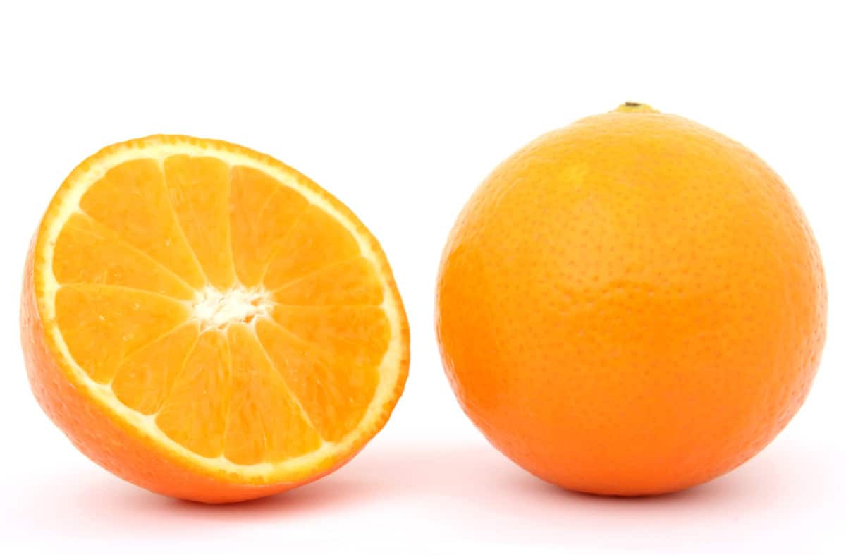 What Fruits Can German Shepherds Eat? Orange