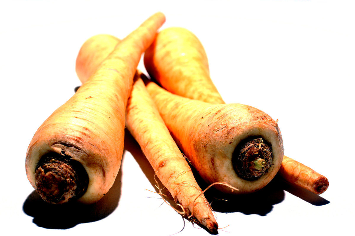 What Vegetables Can Golden Retrievers Eat? Parsnips