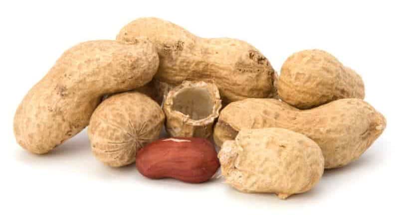What Human Foods Can Golden Retrievers Eat? 
Peanuts