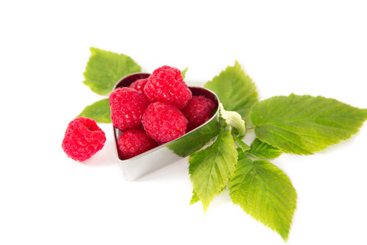 Raspberries placed in a container