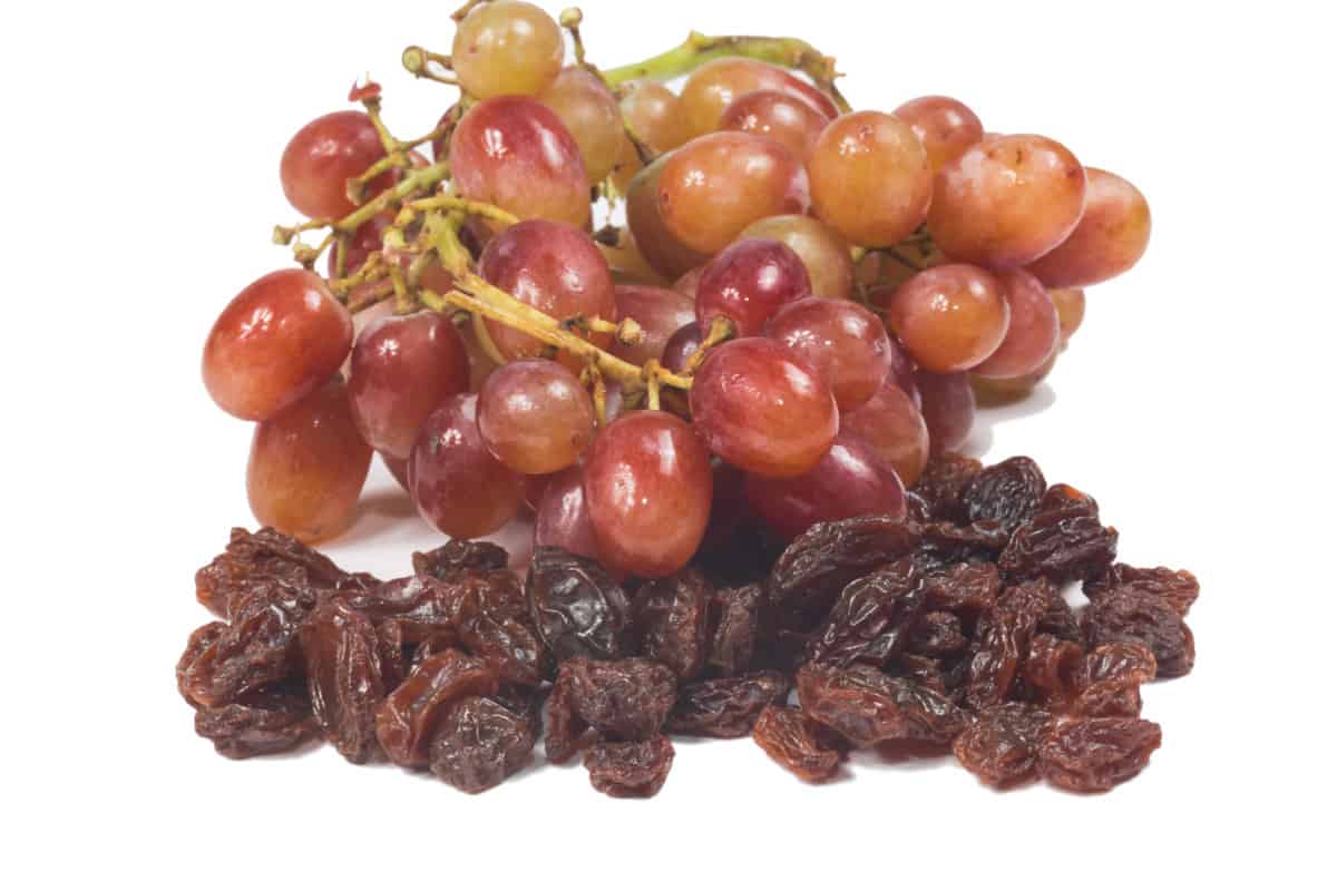 Grapes and Raisins placed next to each other