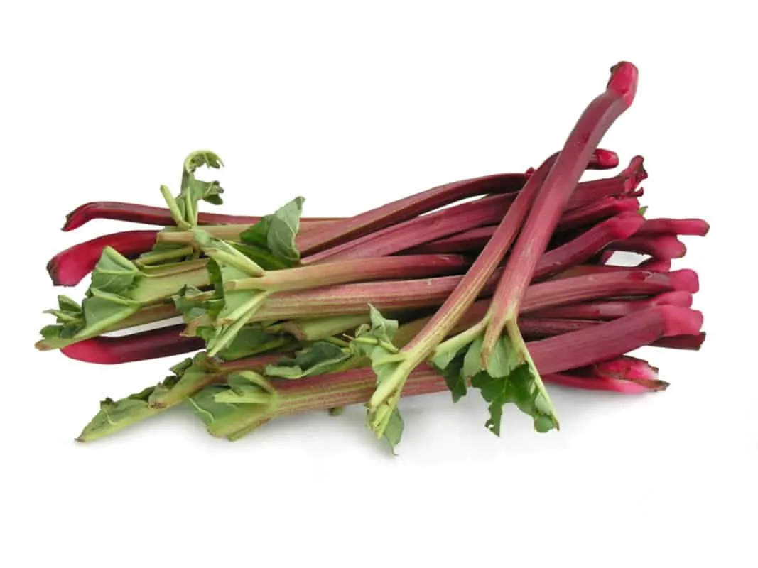 What Vegetables Can Golden Retrievers Eat? Rhubarb (stalks)
