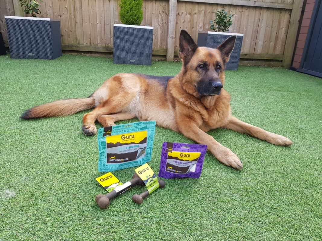 German Shepherd with a selection of treats