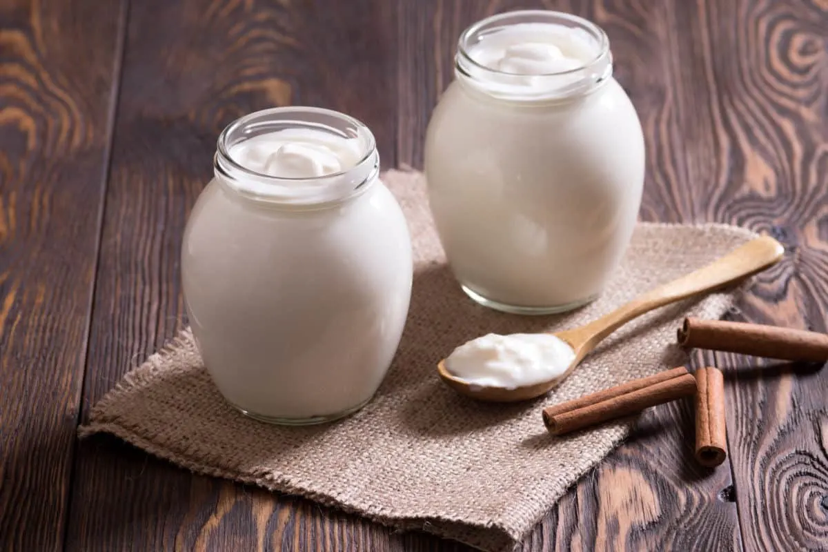 What Human Foods Can Golden Retrievers Eat?
Yogurt