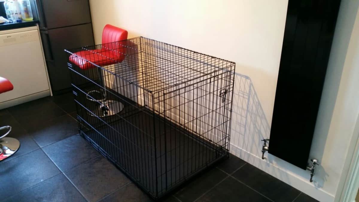 Extra Large Dog Crate for German Shepherd, 48 inch dog crate