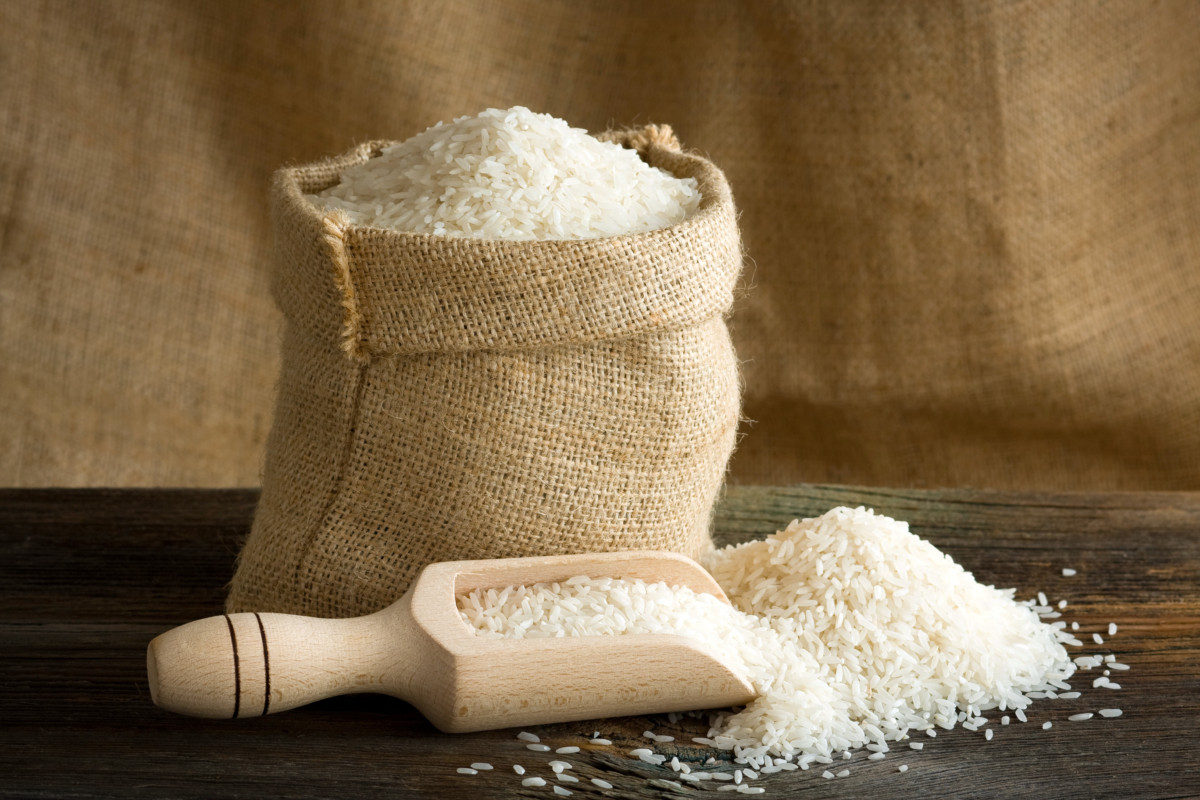 White Rice. Do German Shepherds Need Grains in Their Food?