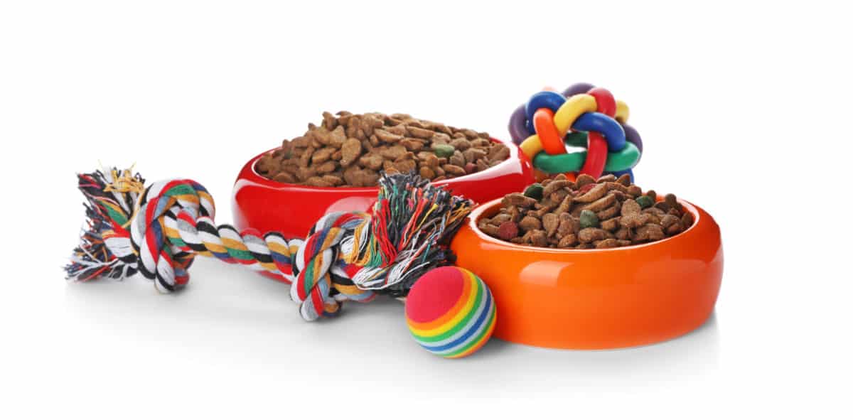 Dog accessories: toys, bowls, balls.