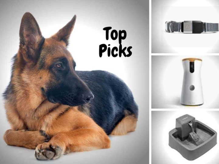 German Shepherd with a range of dog gadgets, dog camera, dog water fountain, gps tracker. Best Dog Tech Gadgets for German Shepherds