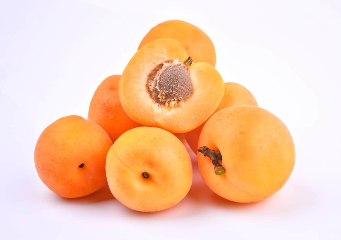 What Fruits Can Labradors Eat?Apricot