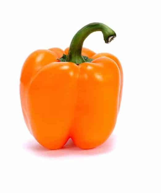 What Vegetables Can Labradors Eat?Bell Pepper