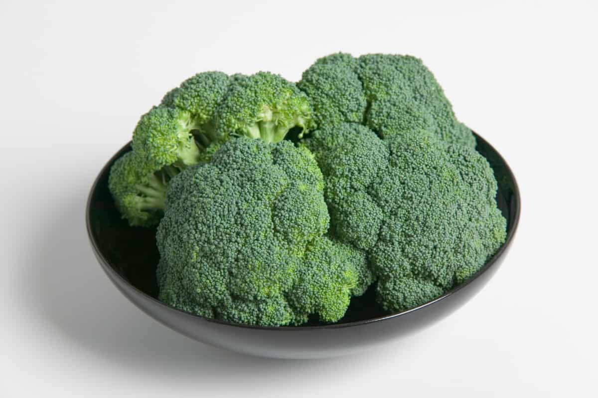 What Human Foods Can German Shepherds Eat? Broccoli