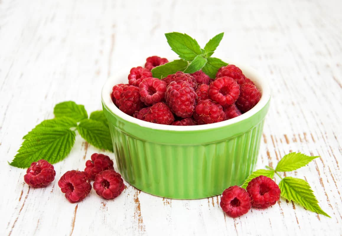 What Fruits Can Labradors Eat? Raspberries