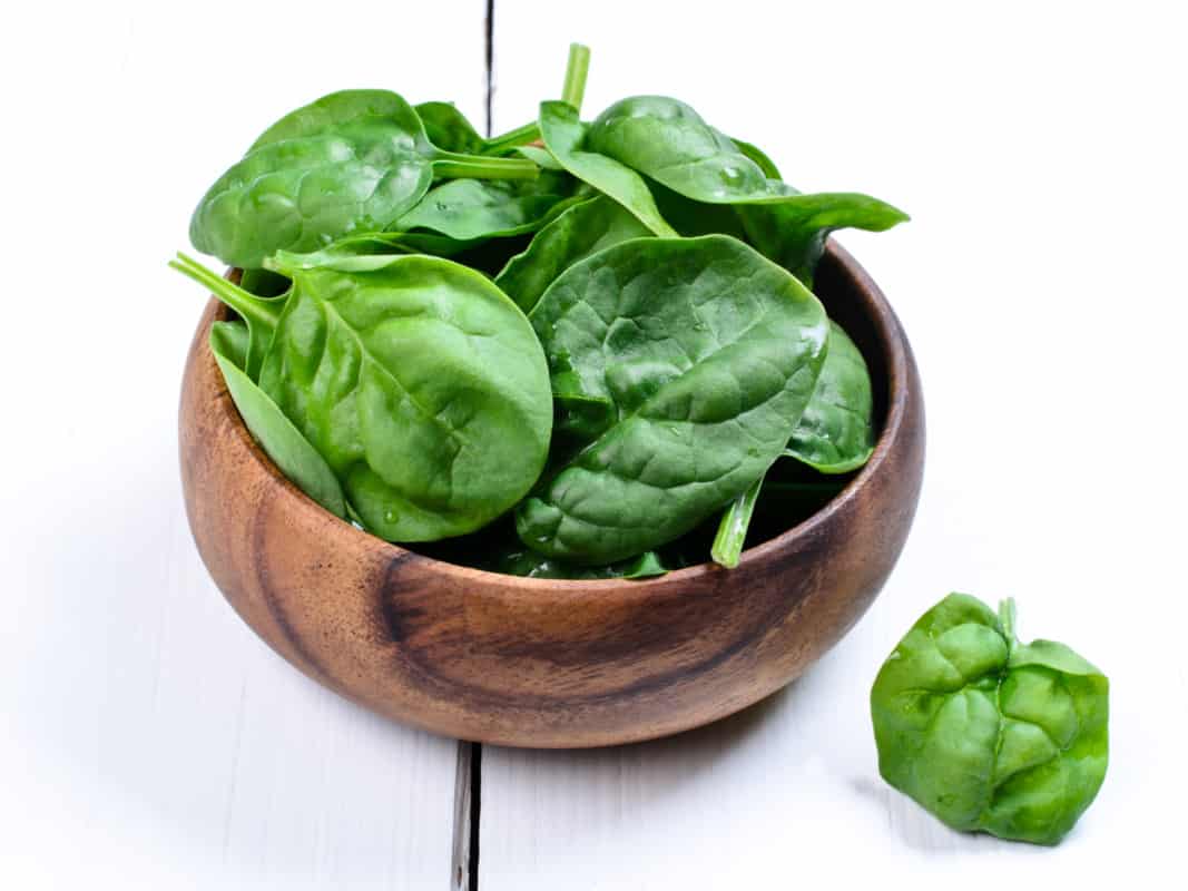 What Vegetables Can Labradors Eat?Bowl of Spinach