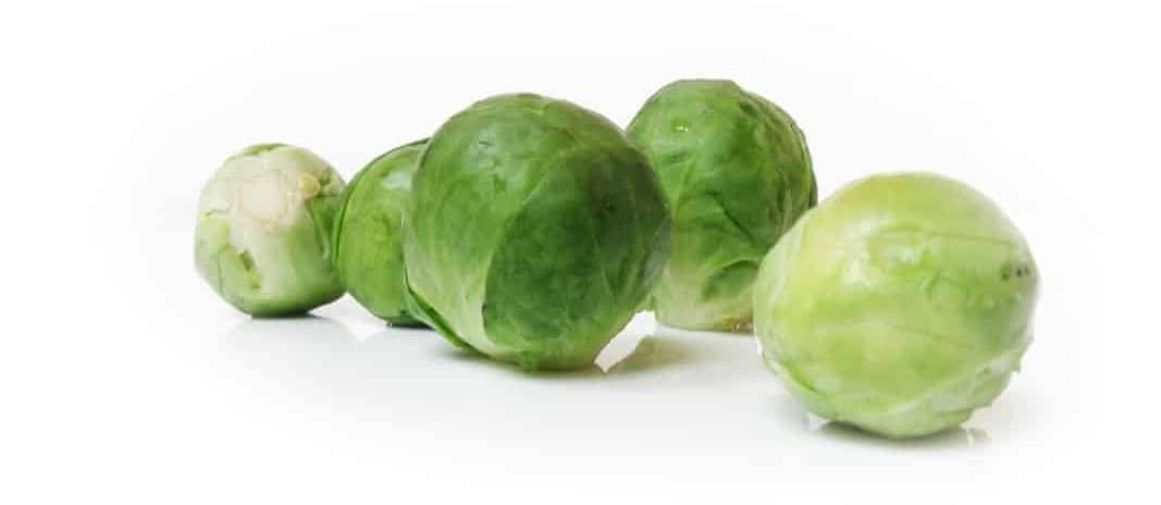 What Vegetables Can Labradors Eat?Brussels Sprouts