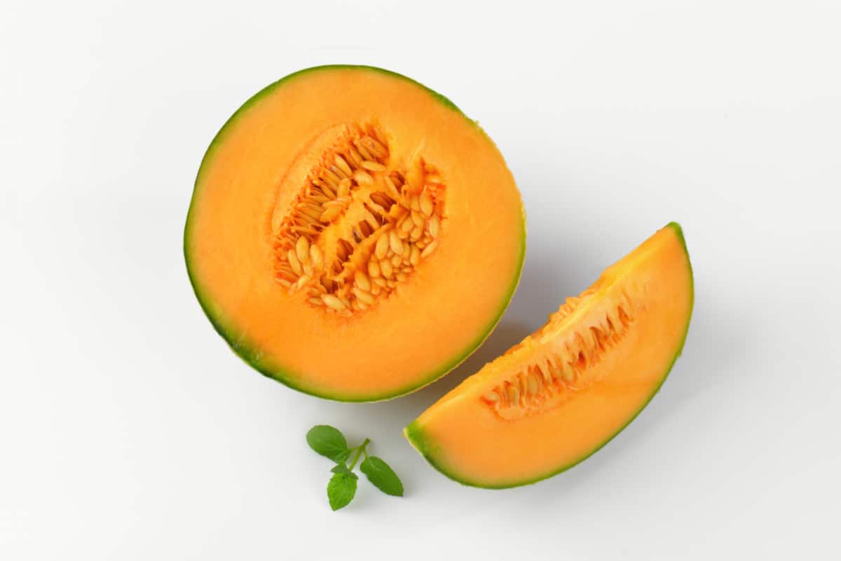 What Human Foods Can German Shepherds Eat? Cantaloupe