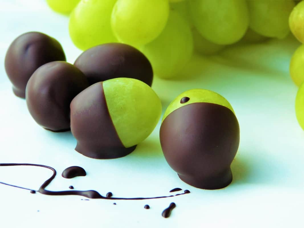 Grapes covered in chocolate. What Foods are Poisonous to Labradors?
