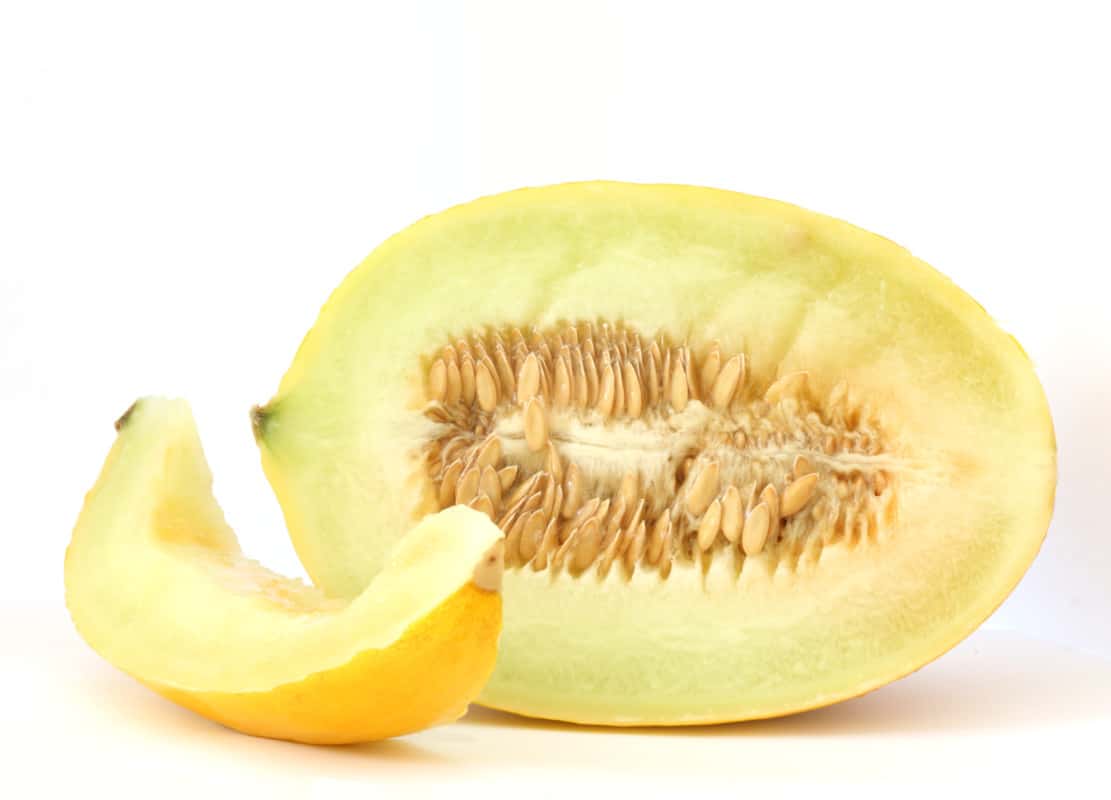 What Fruits Can Labradors Eat?Honeydew Melon