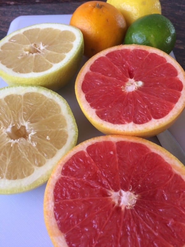 What Fruits Can Labradors Eat?Lemon, Lime and Grapefruit