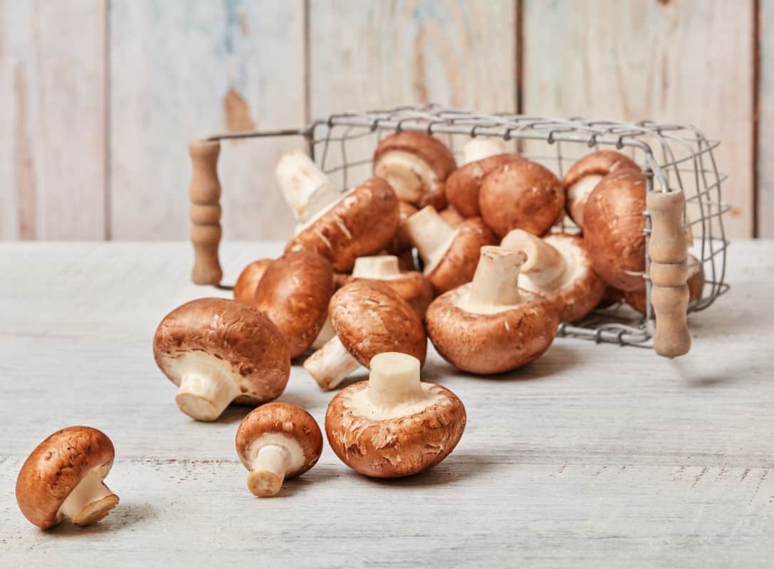 What Vegetables Can Golden Retrievers Eat? Mushrooms