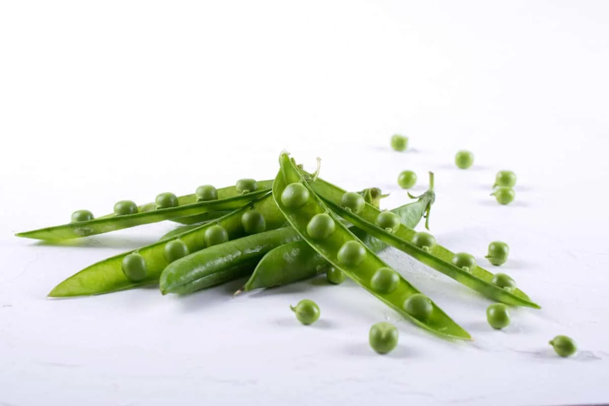 What Vegetables Can Labradors Eat?Peas