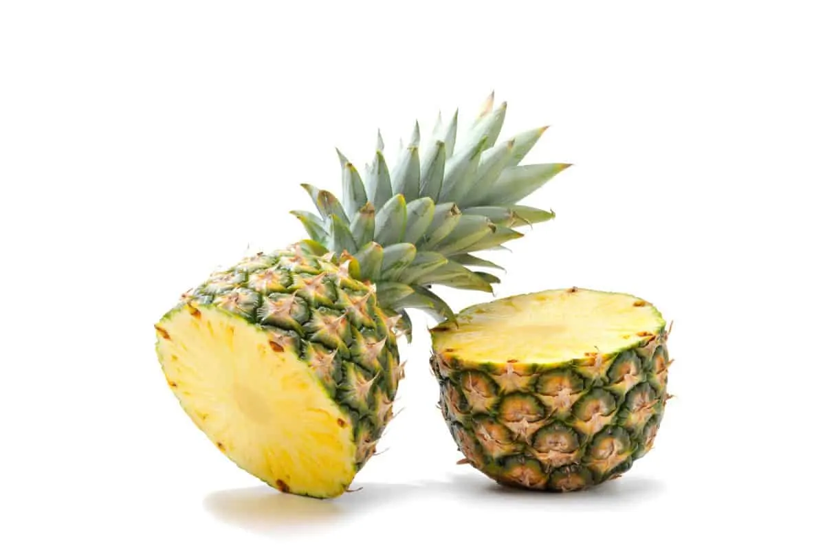 What Fruits Can Golden Retrievers Eat? Pineapple