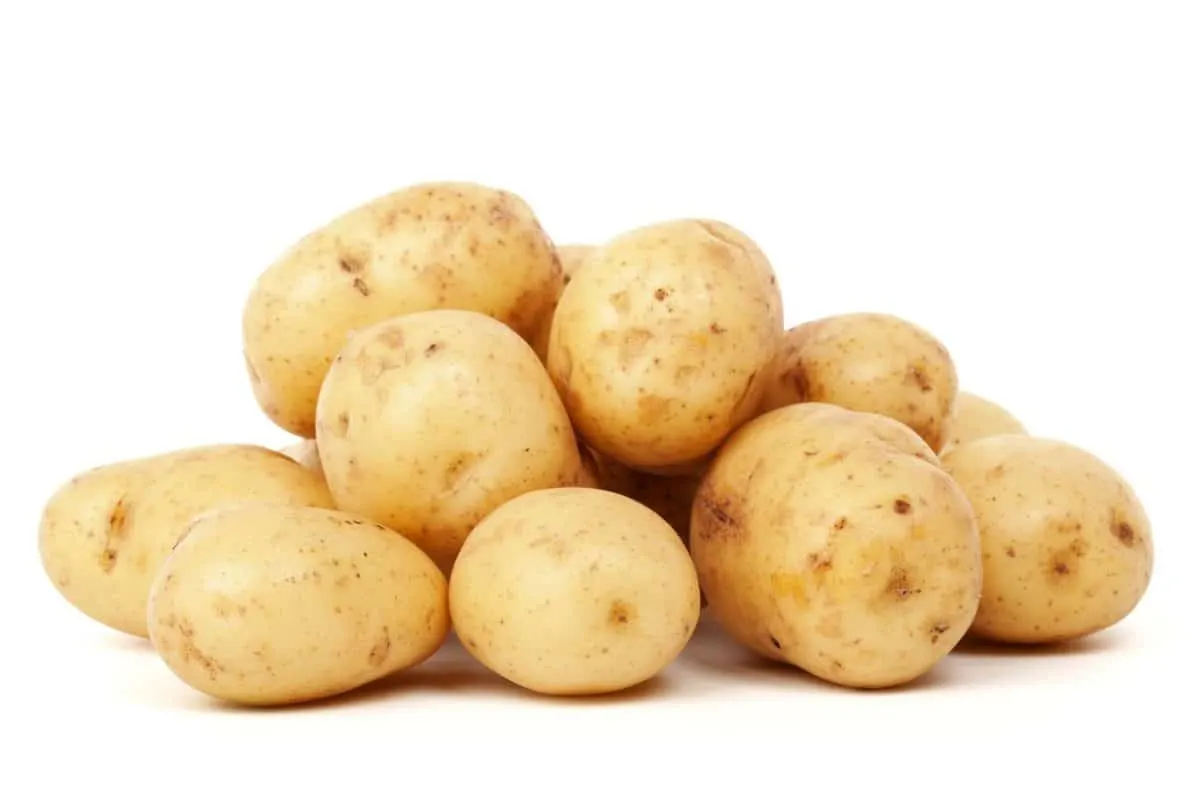 What foods are poisonous to Labradors? Raw Potatoes