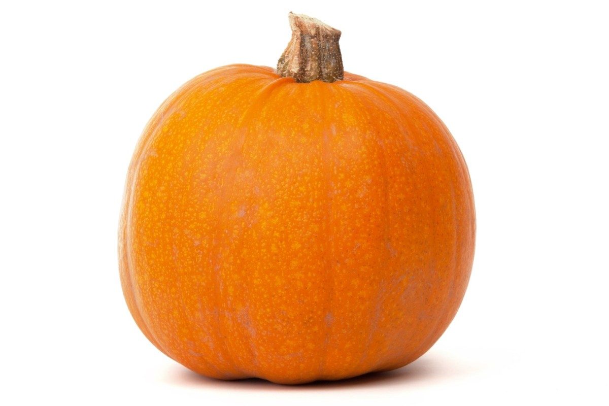 What Human Foods Can Golden Retrievers Eat? 
Pumpkin