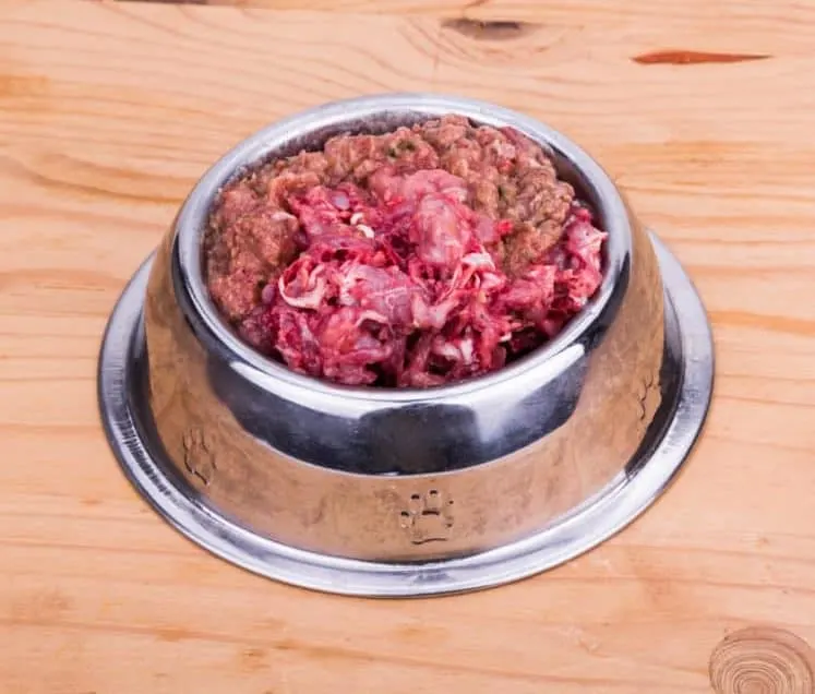 Raw Dog Food in a Bowl