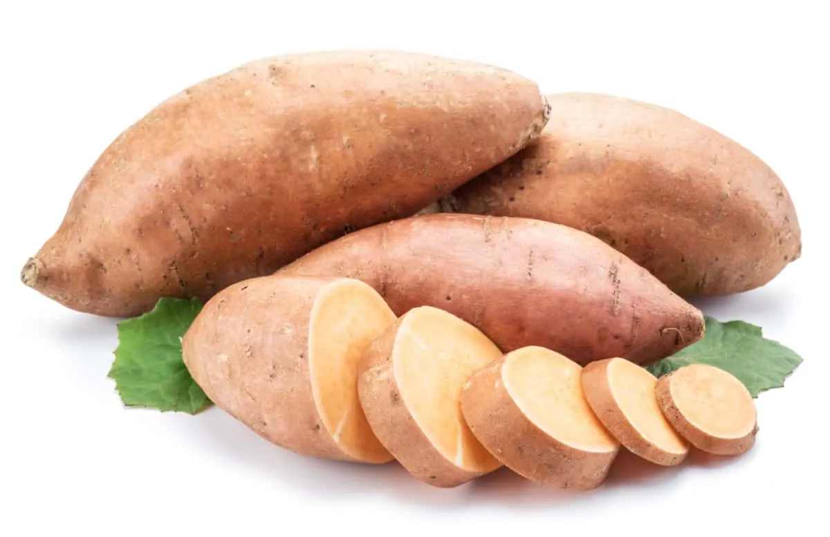 What Human Foods Can German Shepherds Eat? Sweet Potato