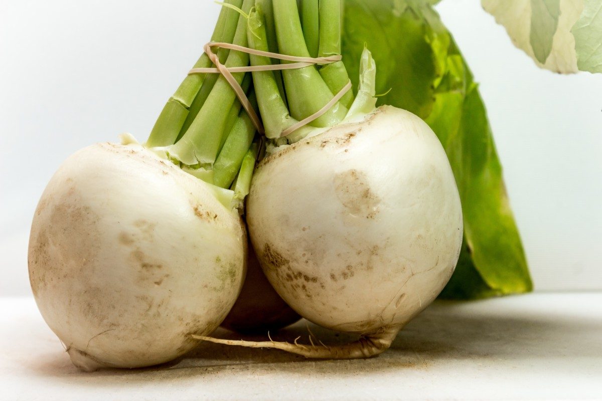 2 Turnips with fresh leaves tied together 