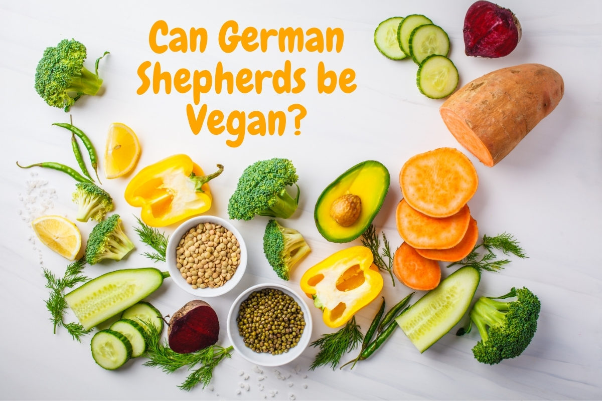 A selection of vegan foods. Can German Shepherds be Vegan? Can German Shepherds be Vegetarian?
