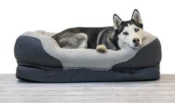 BarksBar Orthopedic Dog Bed