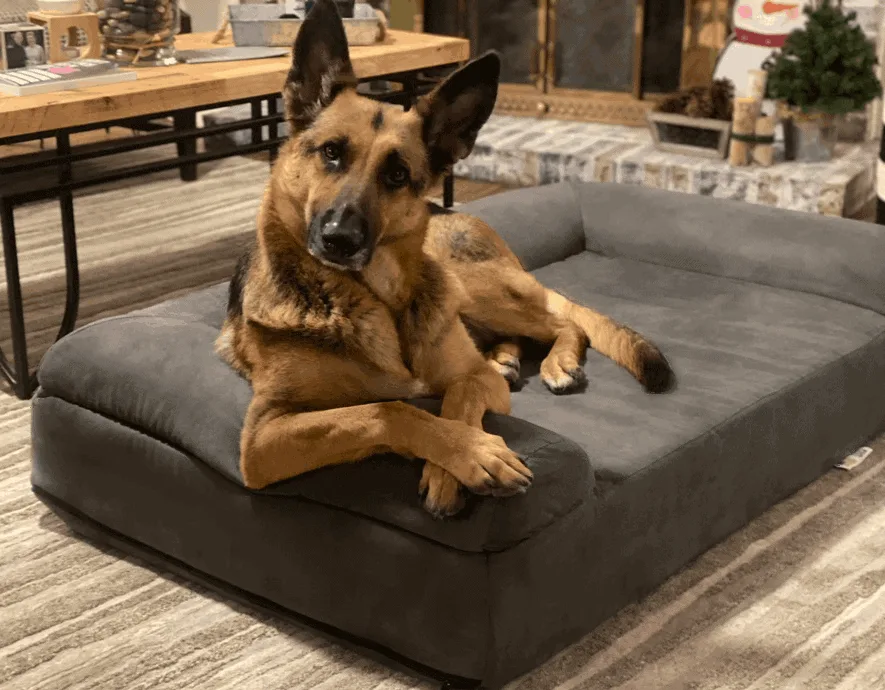 Big Barker Orthopedic Dog Bed Sofa Edition