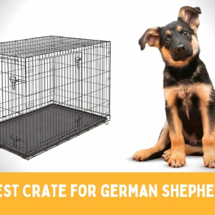 8 Best Dog Crates for German Shepherds in 2022 (and ...