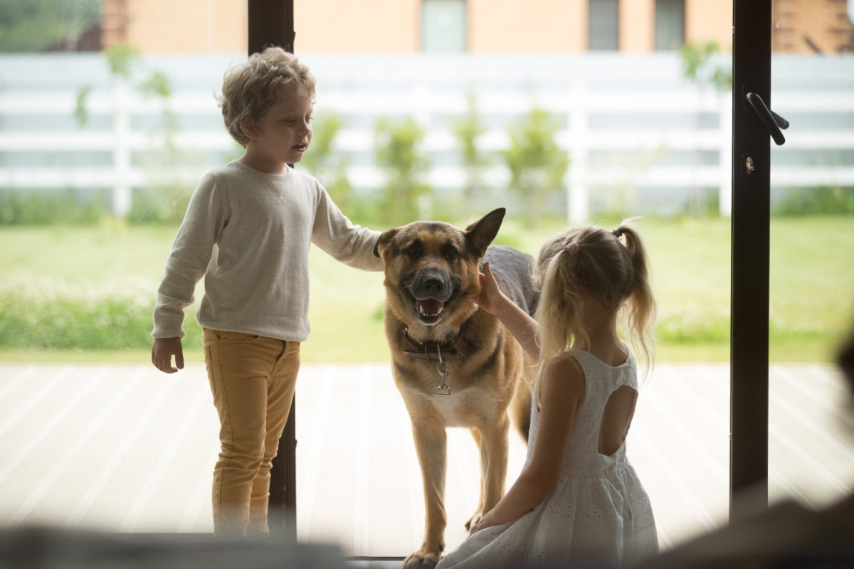 Two children petting a GSD. Are German Shepherds Good With Kids?