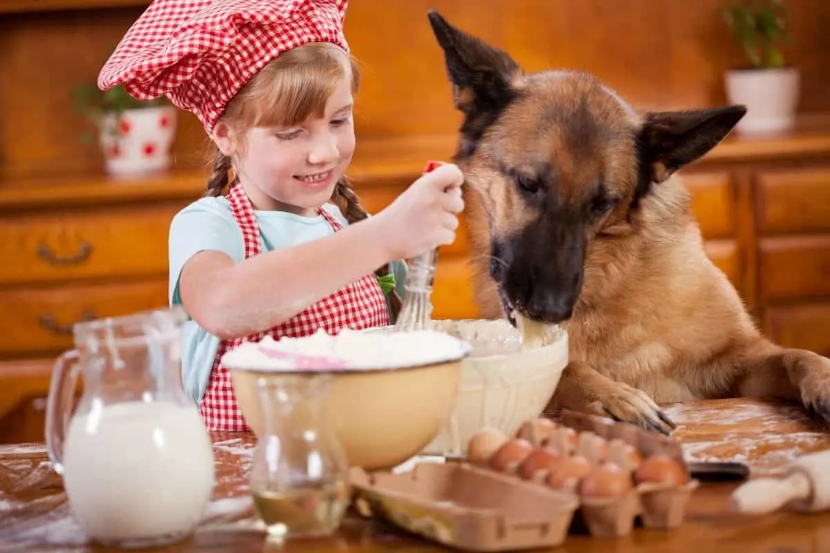 A German Shepherd With a Young Girl 