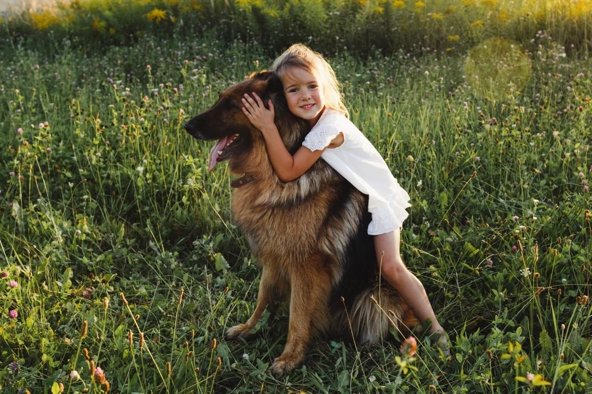 A young girl hugging and petting her GSD.