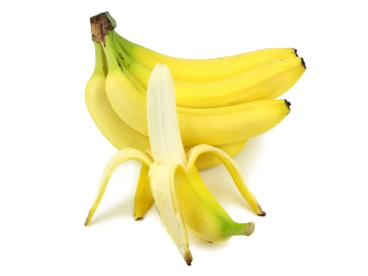 What Human Foods Can Pitbulls Eat?Banana